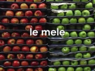 Apprendre l'italien pour débutant