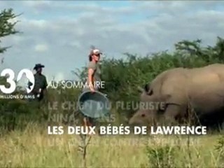 Sommaire emission 30 millions d'Amis du 1 5 2011