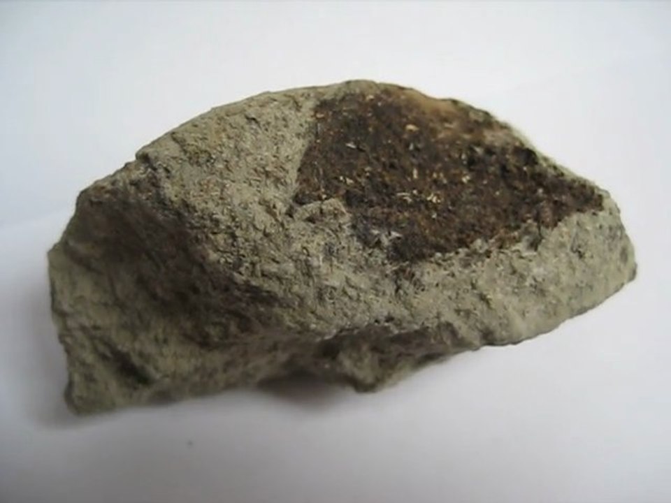 Stromatolithe