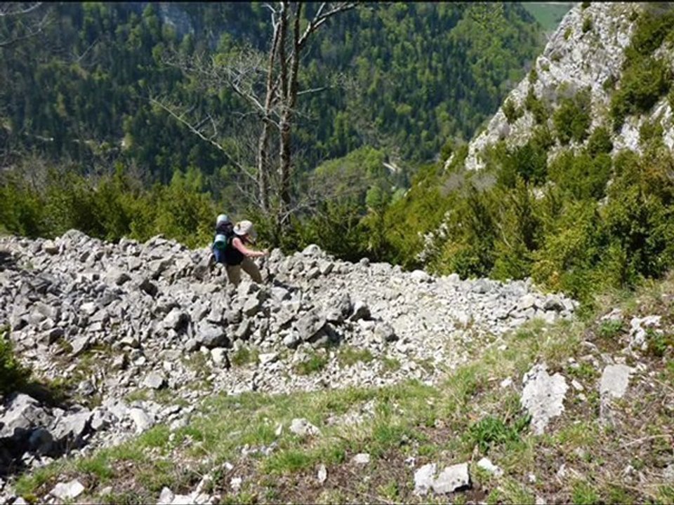 Rousset-en-Royans à Prés Peyret (Vercors centre)