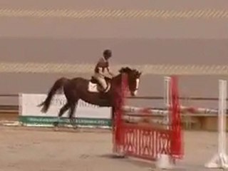 Silva d'Orient Bercheres Avril 2011