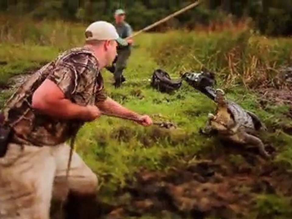 Zululand Nile Crocodile Research  Project