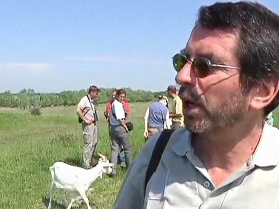 Entretien écolo des prairies de la Forêt d'Orient (Aube)