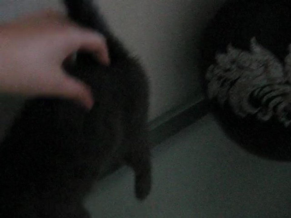 Guest3