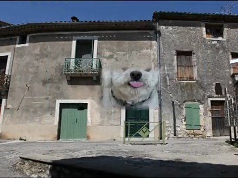 tvcapu-viols le fort-maison natale