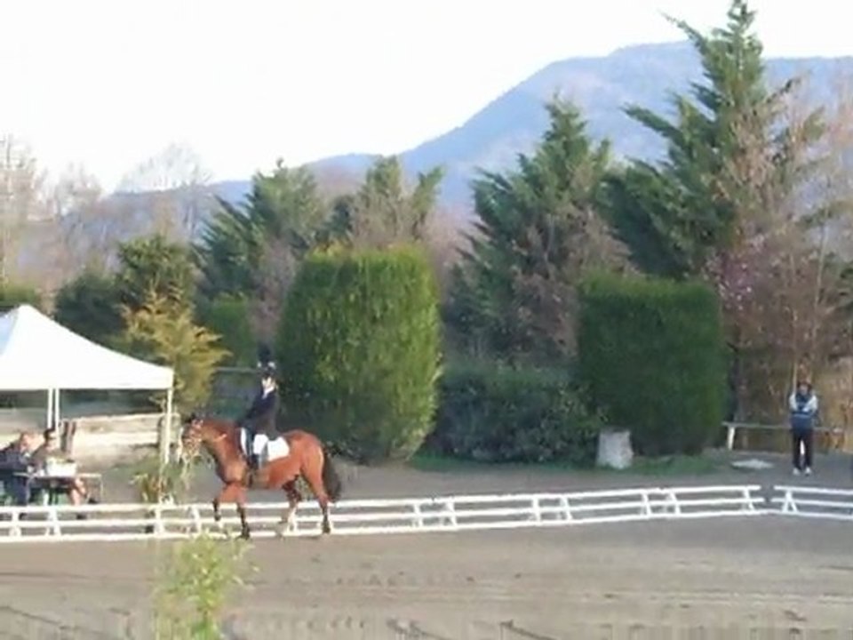 dressage 014