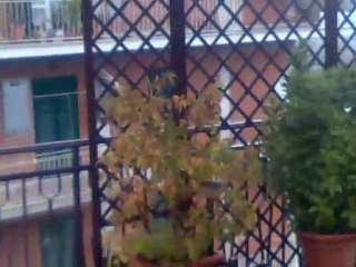 soriano il giorno di tutti i santi