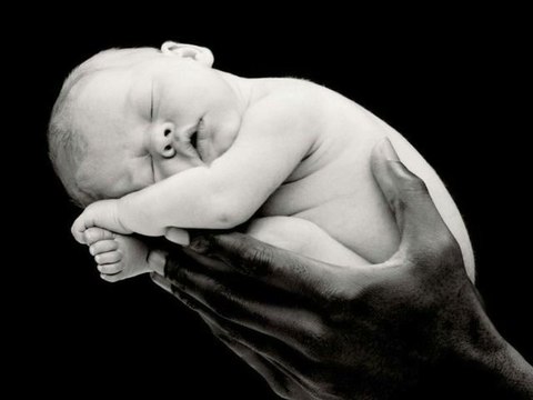 HOMO SAPIENS ( ON EST TOUS HOMOS ) - GANAËL