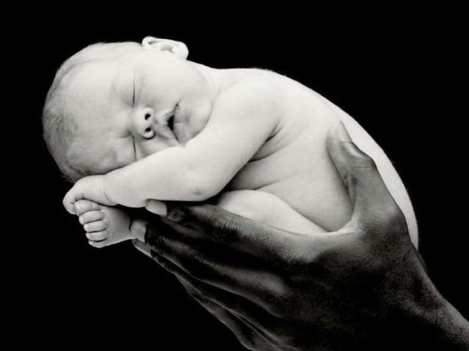 HOMO SAPIENS ( ON EST TOUS HOMOS ) - GANAËL