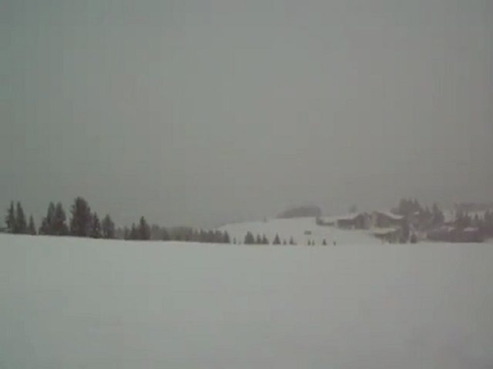 neve