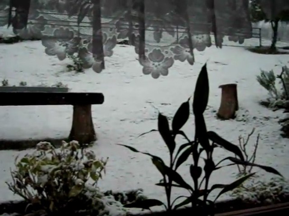 Neve