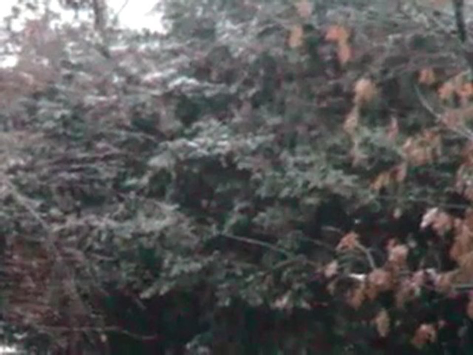 Neve a Desio