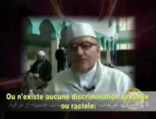 Notre chemin est l'Islam ! Pourquoi ont-ils choisi l'Islam ?