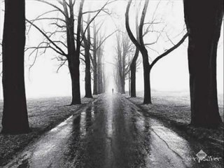 Eşref Ziya  SENSİZ