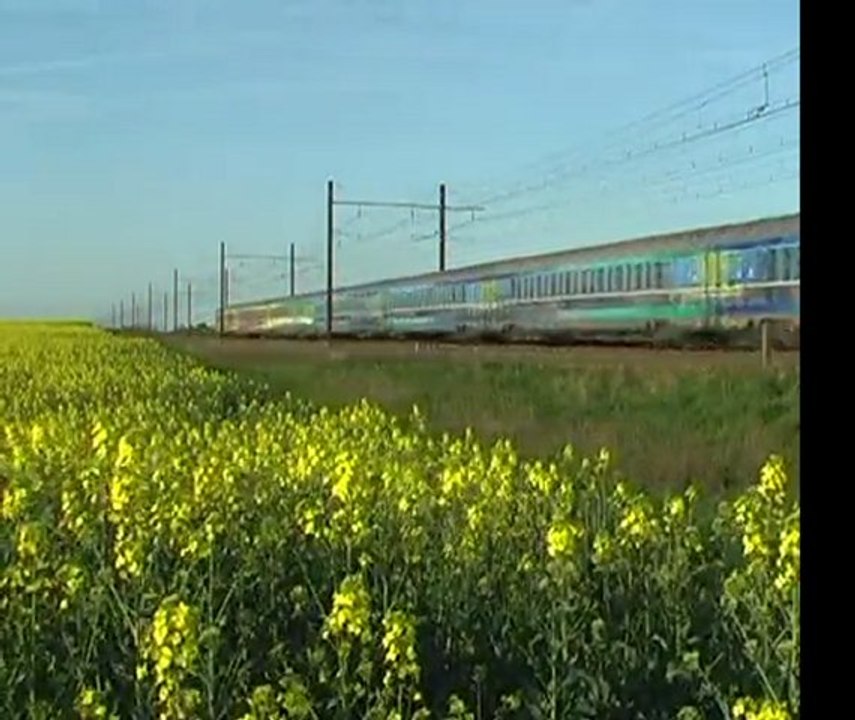colza et trains
