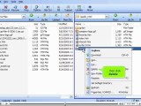 Managing files in FTP Voyager by VodaHost.com web hosting