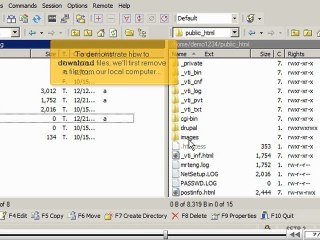 Uploading files using WinSCP by VodaHost.com web hosting