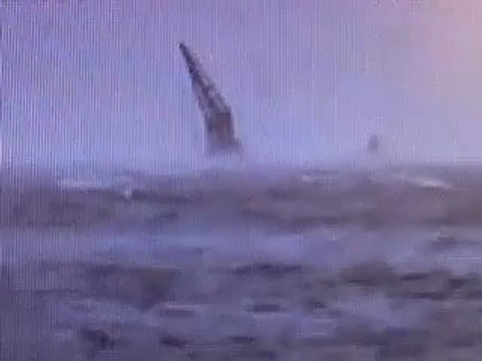 ursus in mare libero