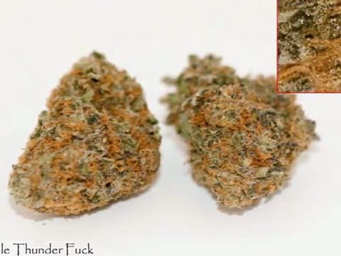 Weed Dispensaries Strains HD