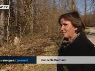 Violent Offenders in the Community | European Journal