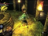 Guide Demon's Souls HD FR 025