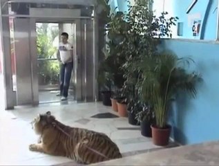 Bu şaka adamı öldürür :))