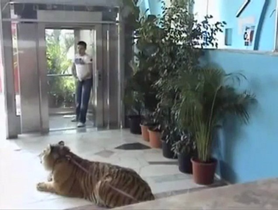 Bu şaka adamı öldürür :))