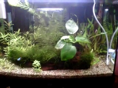 VID 00012-20110429-0732