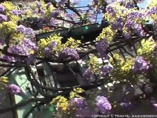 RESIDENCE LA SOIERIE - RUOMS ET SES ENVIRONS