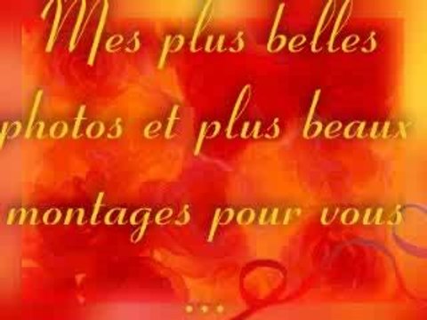 Mes plus belles photos