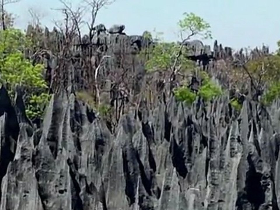 Madagascar-Tsigny-Morondava