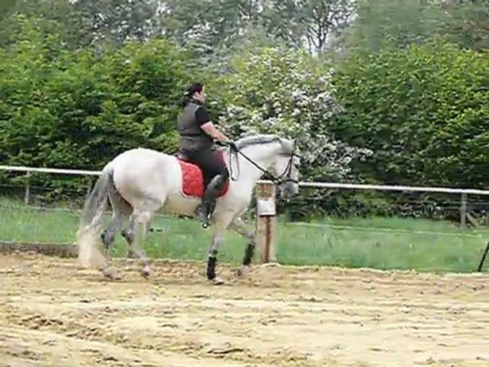 elegido 28/04/2011