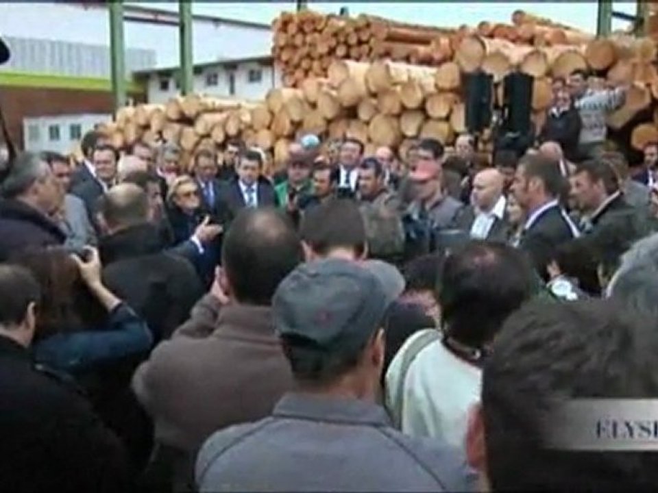 La filière bois : un métier d'avenir