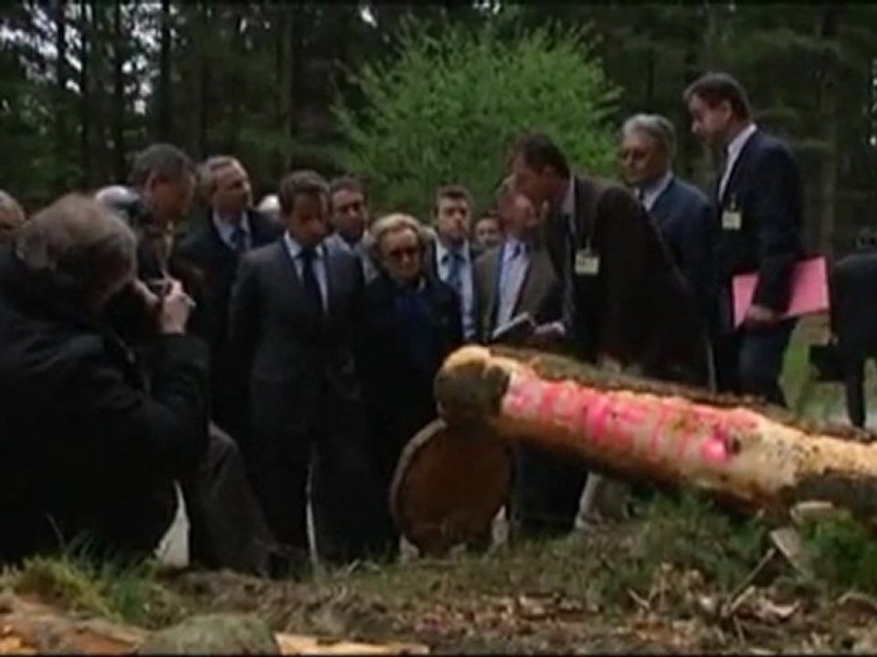 Replanter, transformer : des mesures pour la filière bois