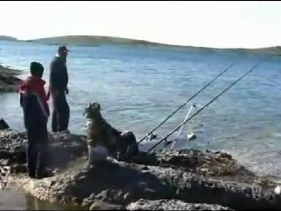 PAŞA TEAM VE SAMADER MUHABBETCİLERİ İLE (2. BÖLÜM)