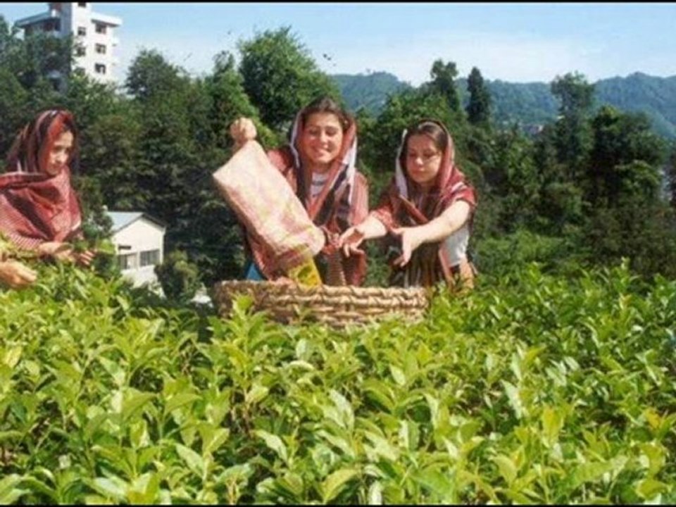 Karataş Boztepe