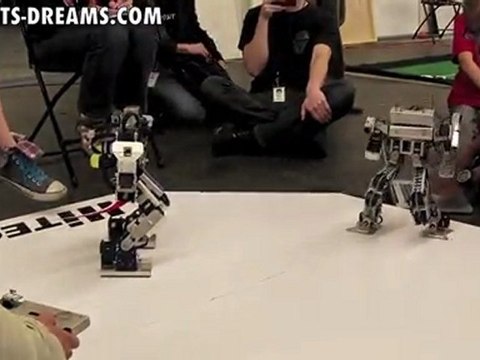 RoboGames 2011 - Day 3 Humanoid Robot Kung-fu - Match 2