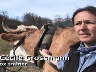 Open-air museum Ballenberg shows Switzerland as it used to be