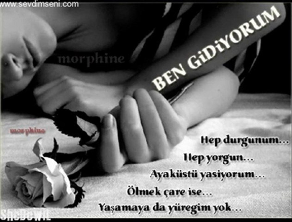 Arabesk Rap Sevdim Lan Seni Şerefsiz  Alemdekises.NeT