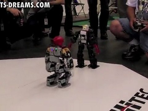 RoboGames 2011 - Day 3 Humanoid Robot Kung-fu - Match 4