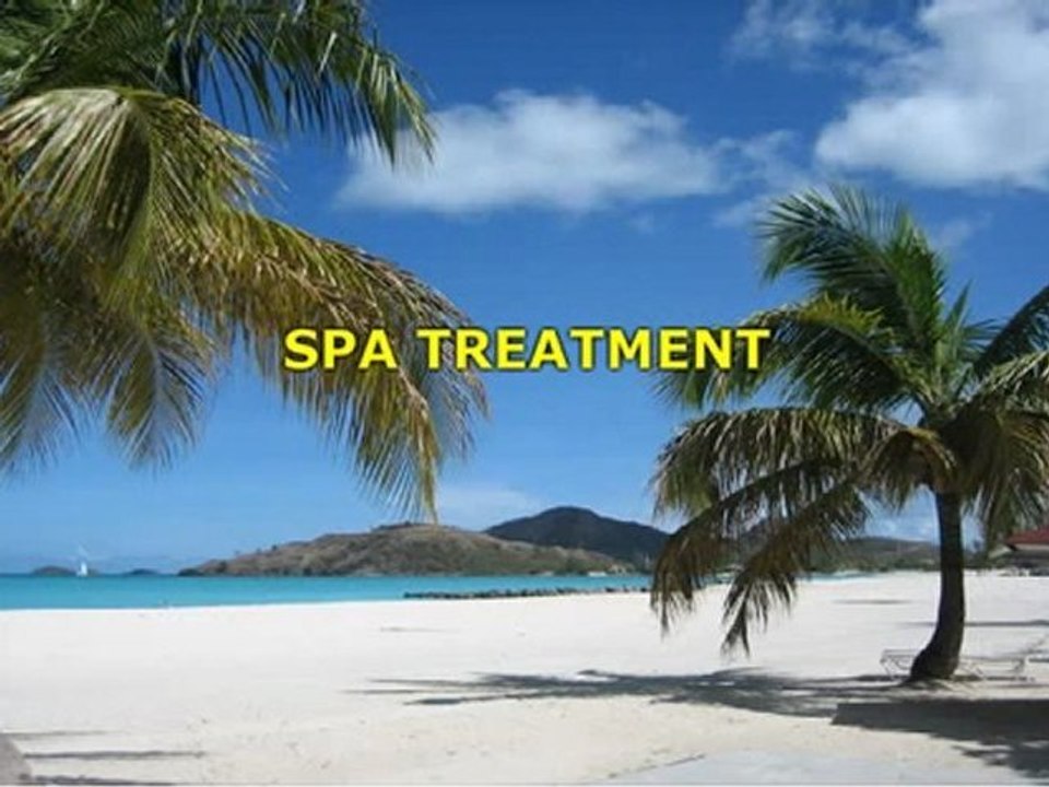A Perfect Vacation