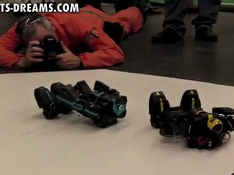 RoboGames 2011 - Day 3 Humanoid Robot Kung-fu - Match 5