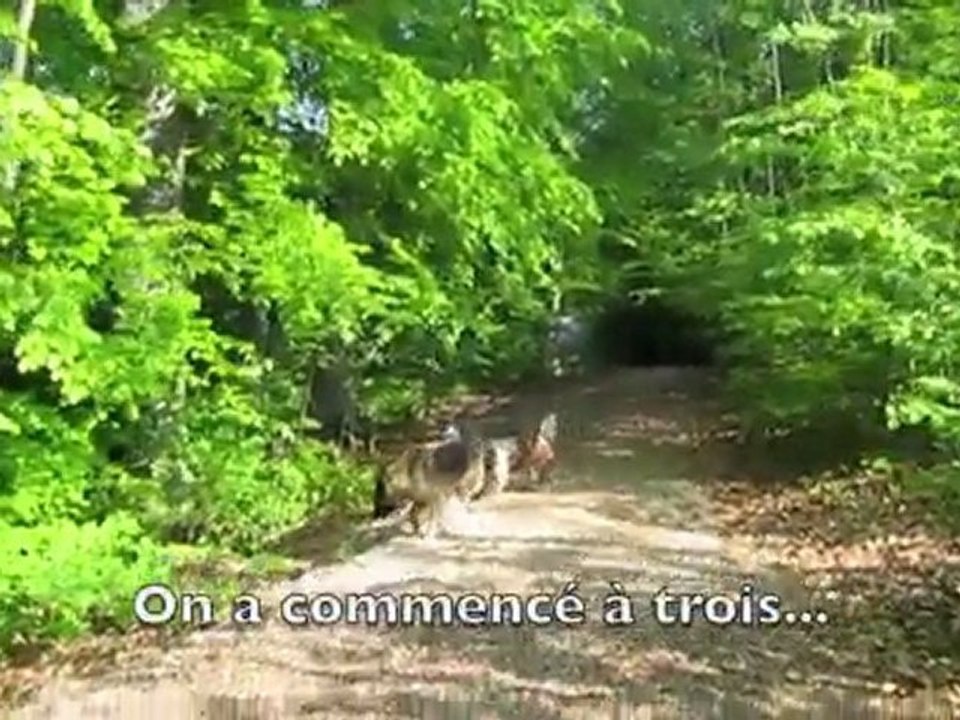 Entre test et réalité