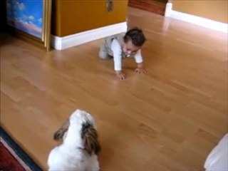 Perros Para Niños Hiperactivos