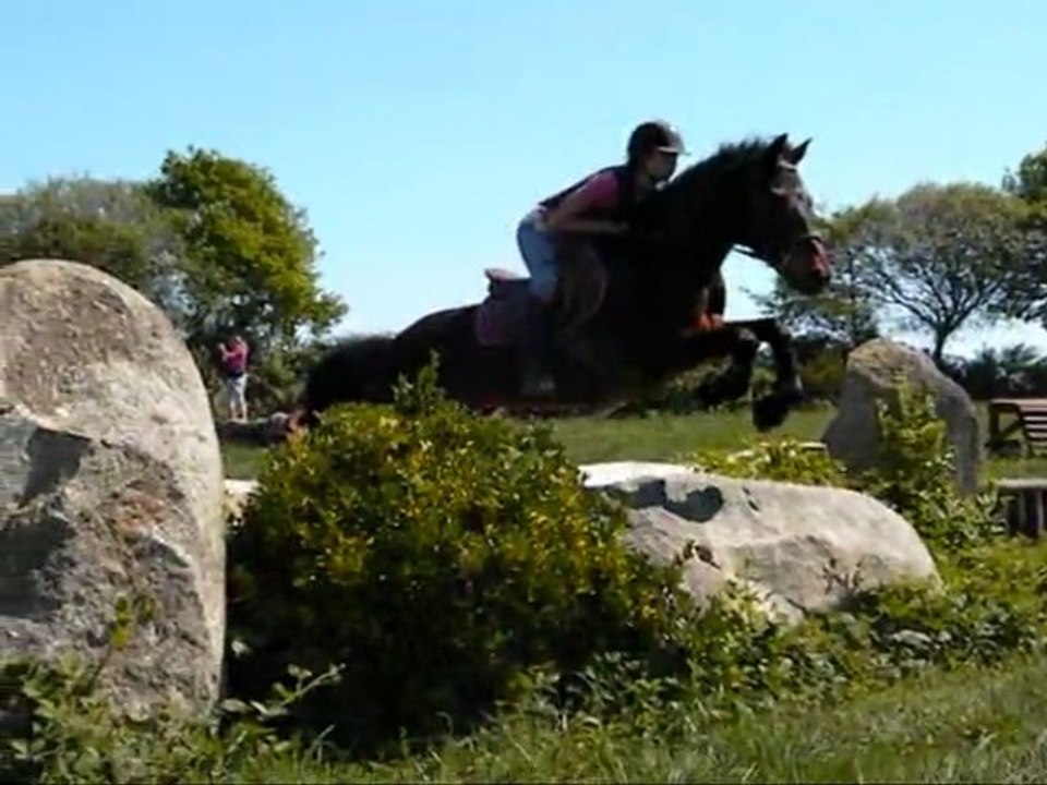Stage de cross - Pâques 2011.