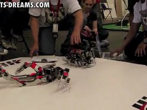 RoboGames 2011 - Day 3 Humanoid Robot Kung-fu - Match 6