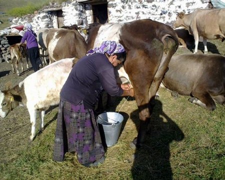 ARDAHAN Mehmet ali arslan köyü ( KORA ) Bayramoğlu
