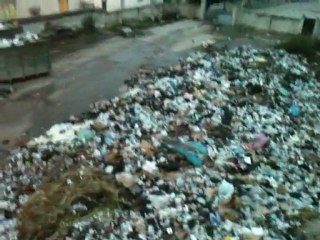 Incroyable Mais Vraie