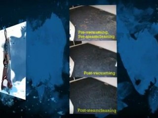 Steam Cleaner Reviews Intro