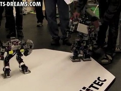 RoboGames 2011 - Day 3 Humanoid Robot Kung-fu - Match 7